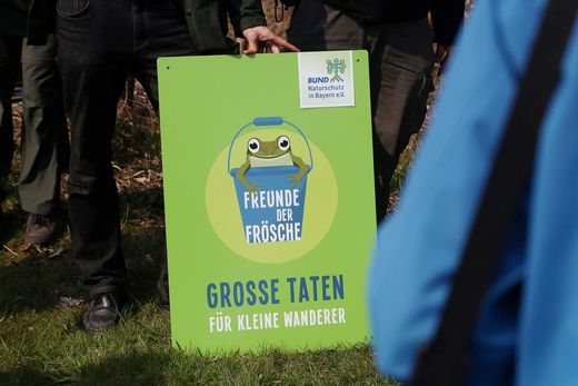 Plakat mit Freunde der Frösche: Große Taten für kleine Wanderer