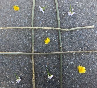 Löwenzahn und Wiesenschaumkraut
