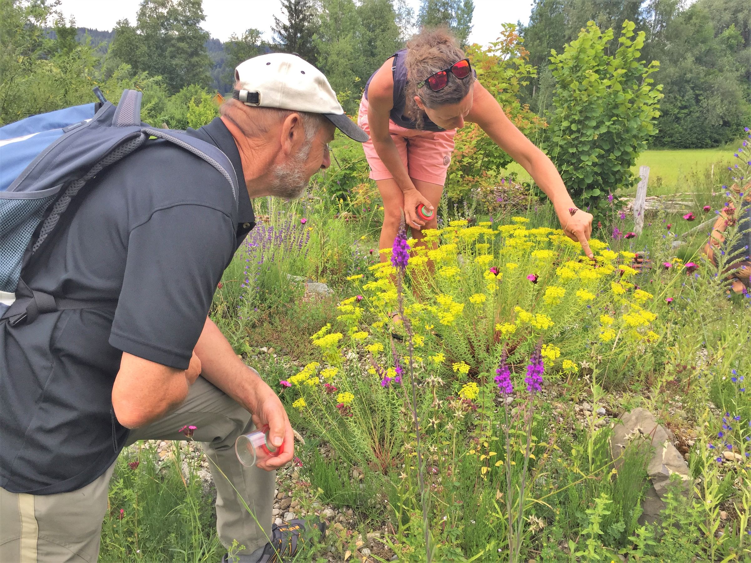 Naturerlebniszentrum_Allgäu_Artenkenner_Wildbienen_JH