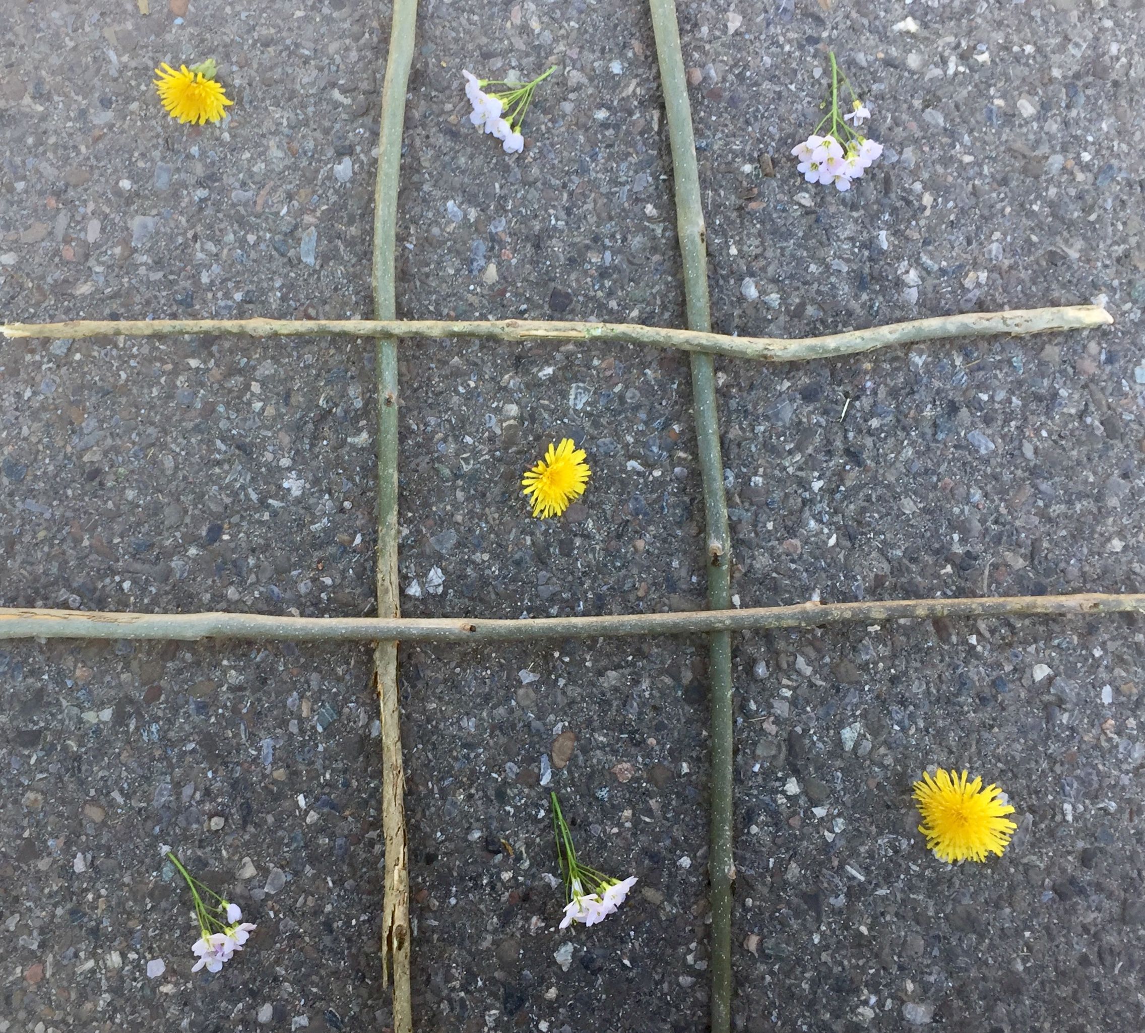 Löwenzahn und Wiesenschaumkraut